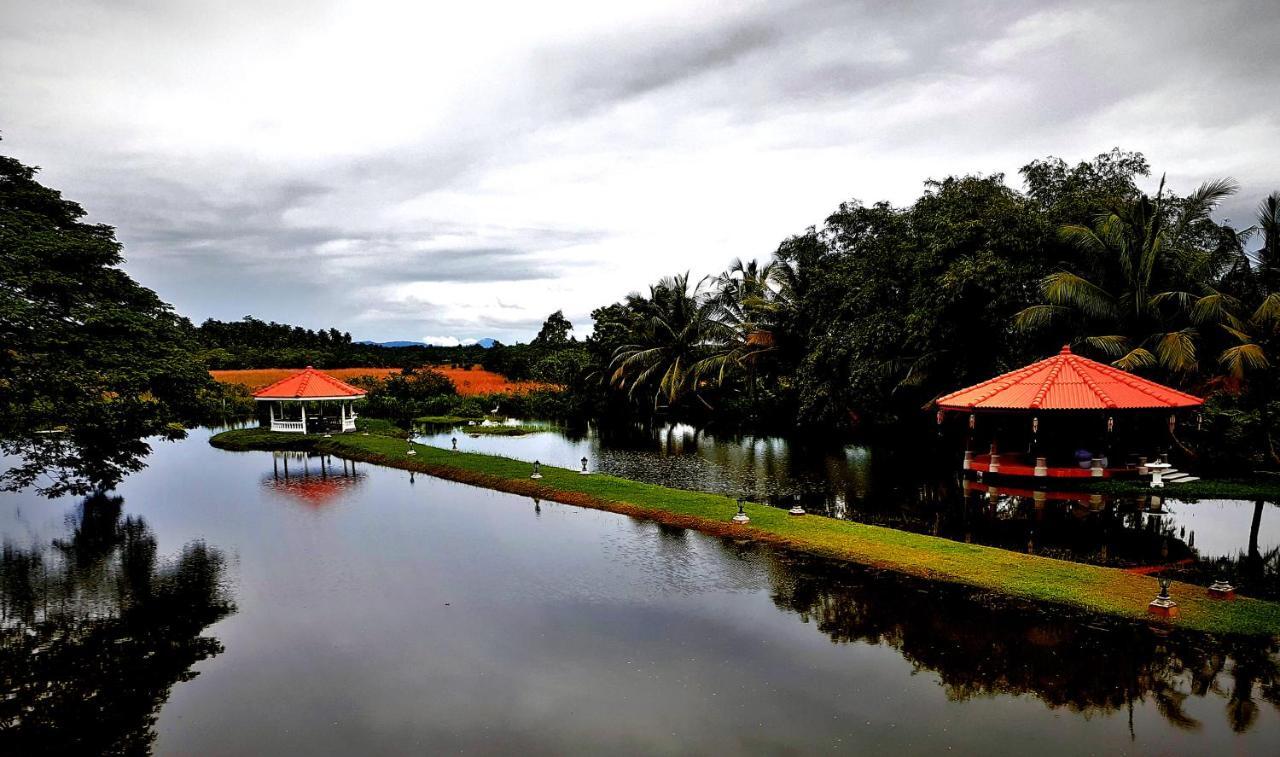 בנטוטה Ayubowan Swiss Lanka Bungalow Resort מראה חיצוני תמונה